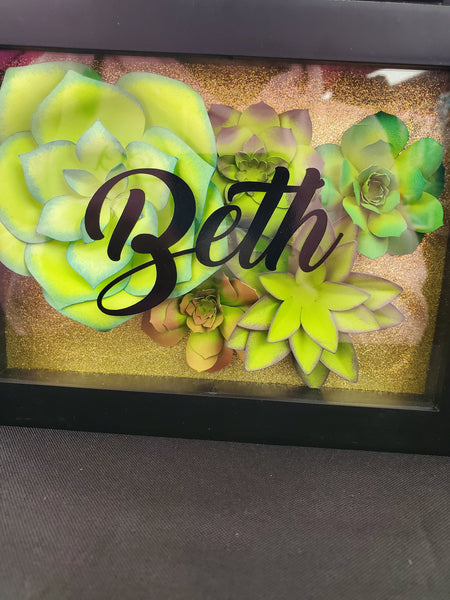 Succulents Box