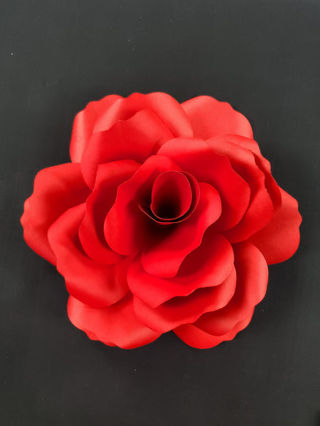 Sweetie Rose